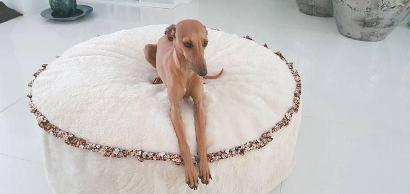 Canisenti Hunde-Schlafplatz-Pouf