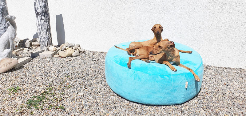 Canisenti Hunde-Schlafplatz-Pouf