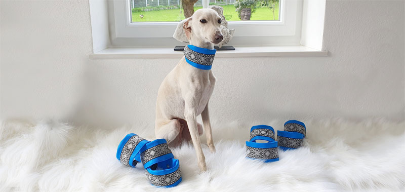 Canisenti Hunde-Halsband