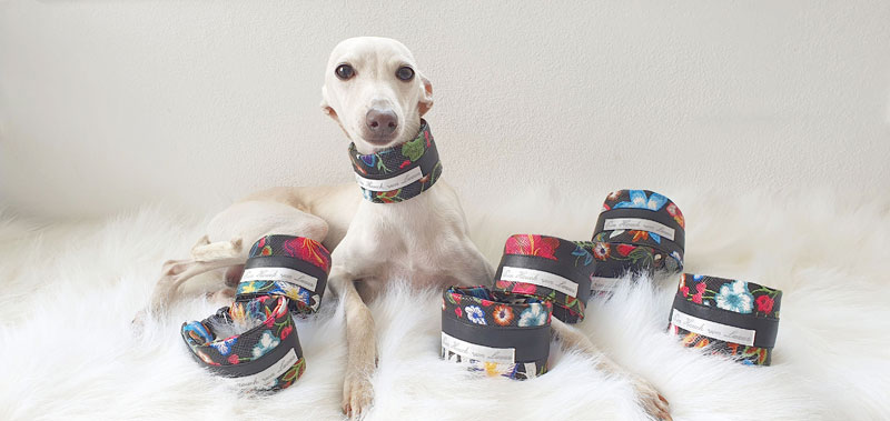 Canisenti Hunde-Halsband