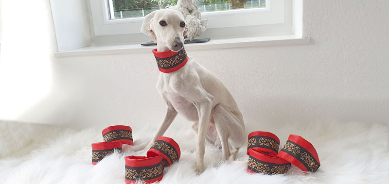 Canisenti Hunde-Halsband