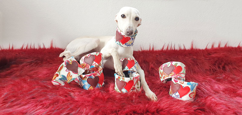 Canisenti Hunde-Halsband