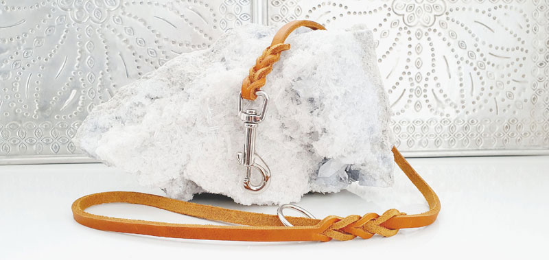 Canisenti F&uuml;hrerleinen