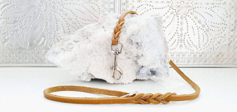 Canisenti F&uuml;hrerleinen