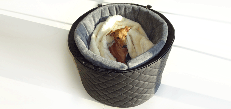 Canisenti Hundejumper