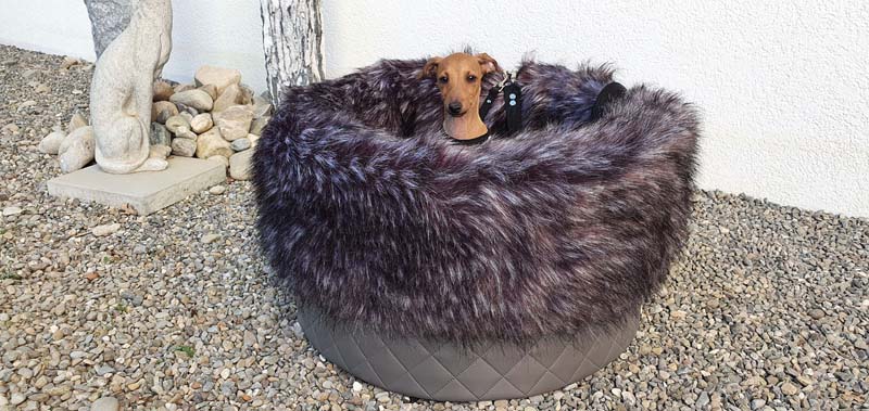 Canisenti Hundejumper